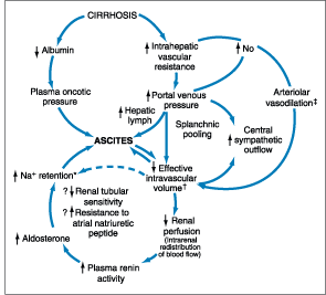 Figure 299-2