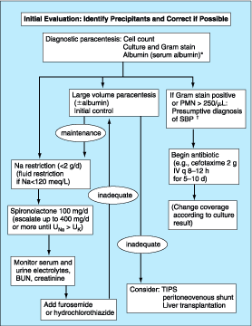 Figure 299-3