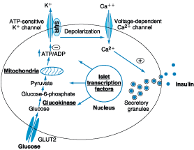 Figure 333-3