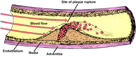 Figure 243-5