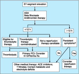 Figure 243-2