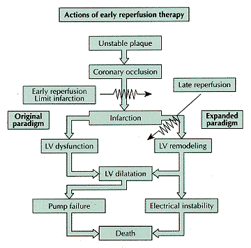 Figure 243-9