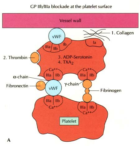 Figure 243-10