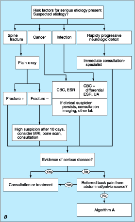 costovertebral angle pain