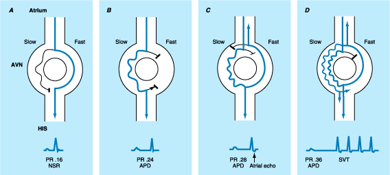 Figure 230-8