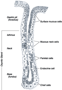 Figure 285-1