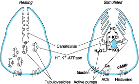 Figure 285-2