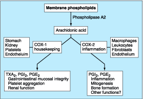 Figure 285-4