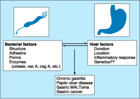 Figure 285-6